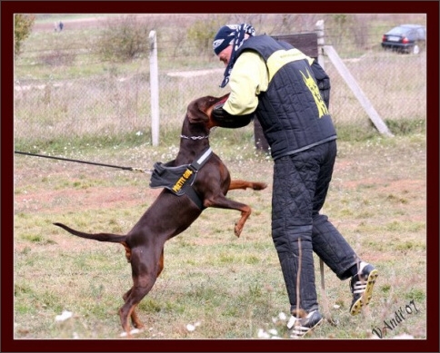 Training in Hungary 10/2007