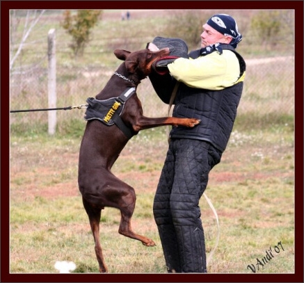 Training in Hungary 10/2007