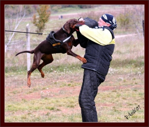 Training in Hungary 10/2007