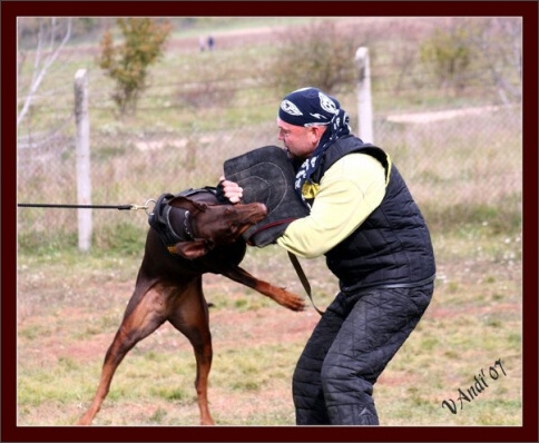 Training in Hungary 10/2007