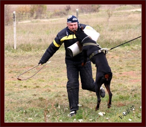 Training in Hungary 10/2007