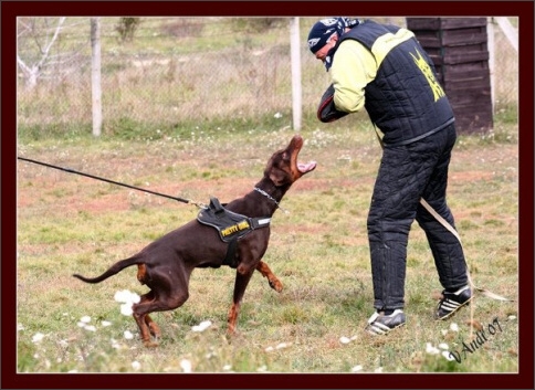 Training in Hungary 10/2007