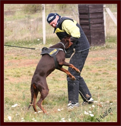 Training in Hungary 10/2007