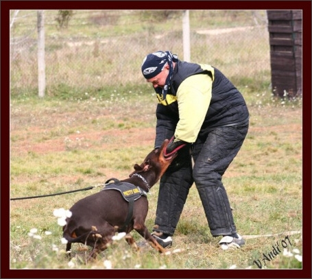 Training in Hungary 10/2007