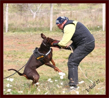 Training in Hungary 10/2007