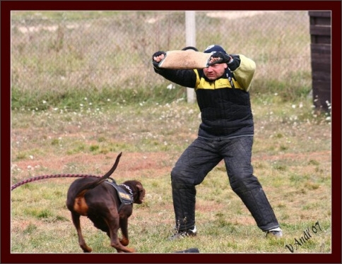 Training in Hungary 10/2007