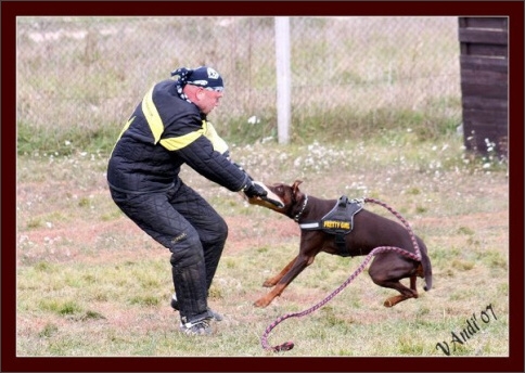 Training in Hungary 10/2007