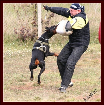 Training in Hungary 10/2007