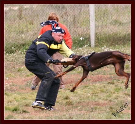 Training in Hungary 10/2007