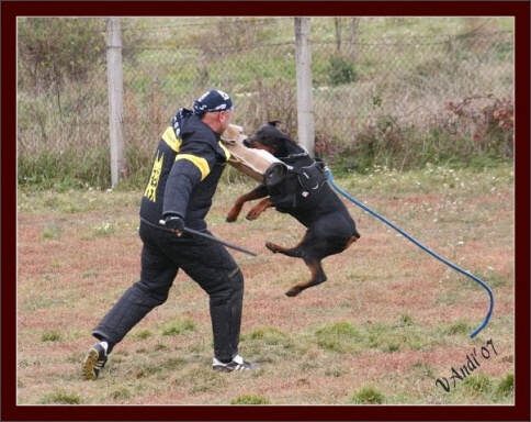 Training in Hungary 10/2007