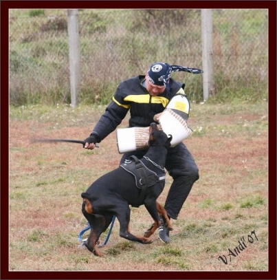 Training in Hungary 10/2007