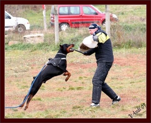 Training in Hungary 10/2007