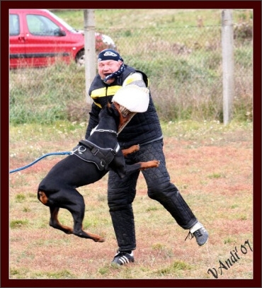 Training in Hungary 10/2007