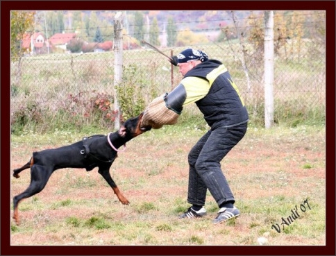 Training in Hungary 10/2007