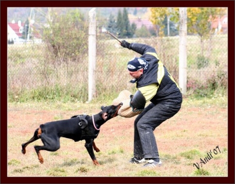 Training in Hungary 10/2007