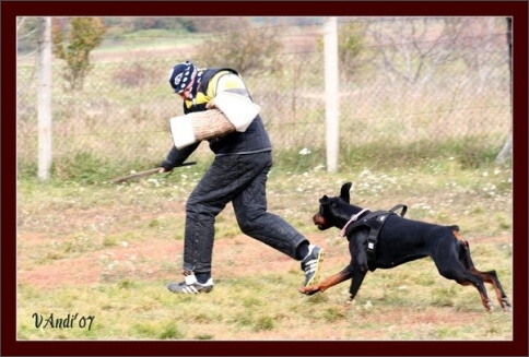 Training in Hungary 10/2007