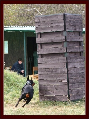 Training in Hungary 10/2007