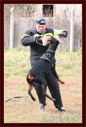 Training in Hungary 10/2007