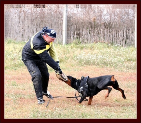 Training in Hungary 10/2007