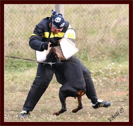 Training in Hungary 10/2007