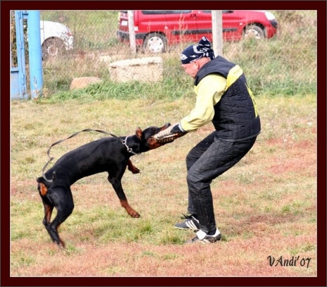 Training in Hungary 10/2007