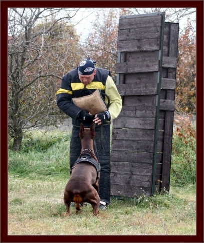 Training in Hungary 10/2007