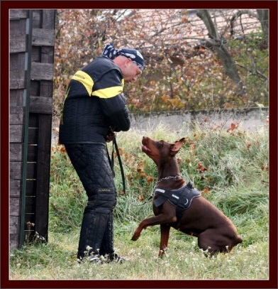 Training in Hungary 10/2007