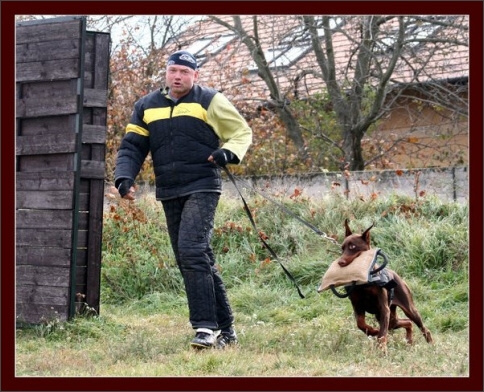 Training in Hungary 10/2007