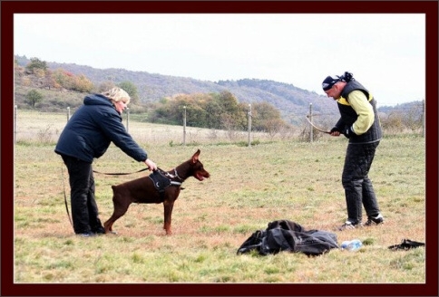 Training in Hungary 10/2007