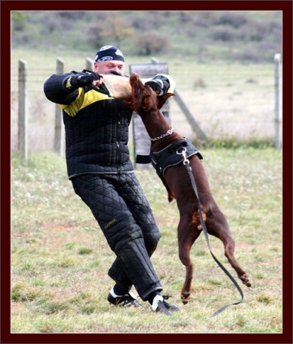 Training in Hungary 10/2007