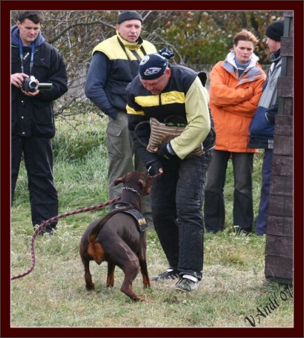 Training in Hungary 10/2007