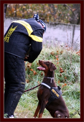 Training in Hungary 10/2007