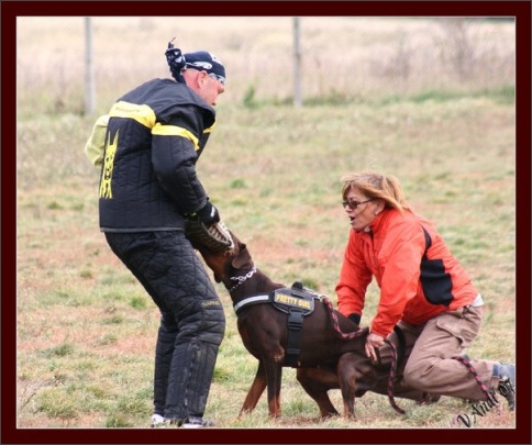 Training in Hungary 10/2007