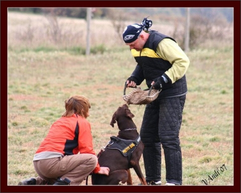 Training in Hungary 10/2007