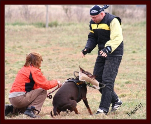 Training in Hungary 10/2007