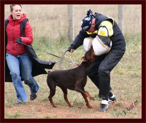 Training in Hungary 10/2007