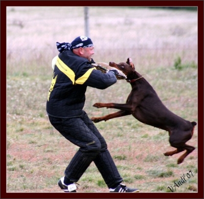 Training in Hungary 10/2007