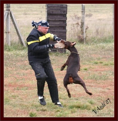 Training in Hungary 10/2007