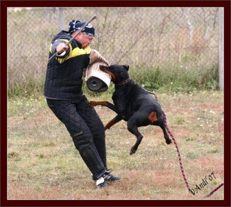 Training in Hungary 10/2007