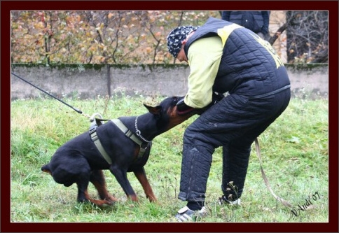 Training in Hungary 10/2007