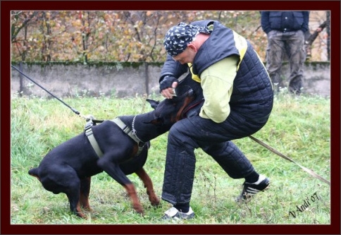 Training in Hungary 10/2007