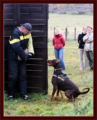 Training in Hungary 10/2007