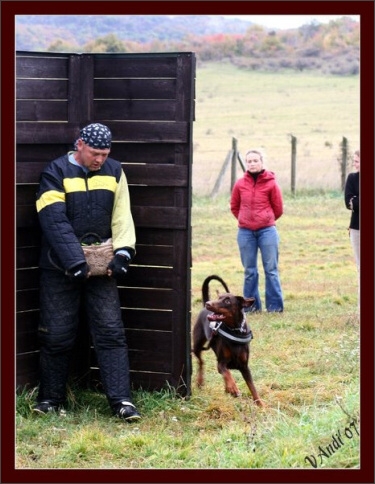 Training in Hungary 10/2007