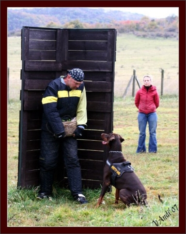 Training in Hungary 10/2007