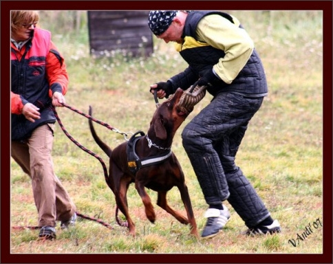 Training in Hungary 10/2007