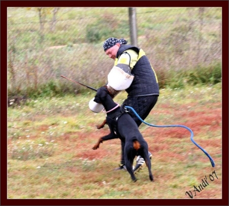 Training in Hungary 10/2007