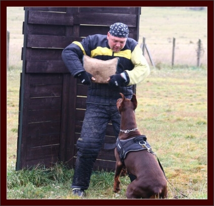 Training in Hungary 10/2007