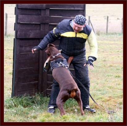 Training in Hungary 10/2007