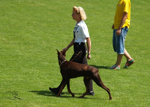 IDC World championship 2007