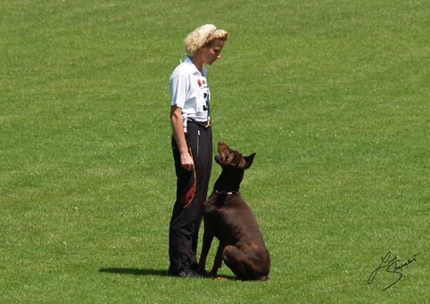 IDC World championship 2007